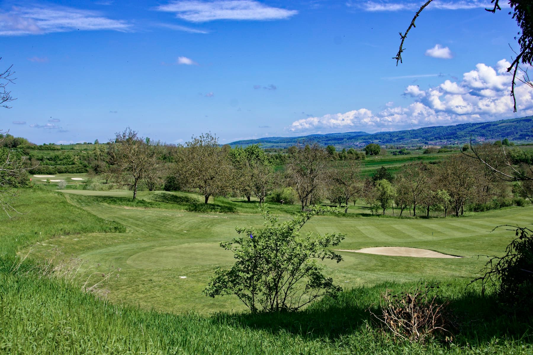 Carolina Lakes Golf Club in Indian Land, SC
